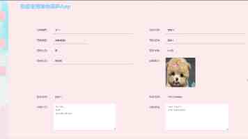 联合国：袭击试图获取食物援助的加沙平民的行径“令人发指”