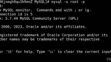 近镜头·习近平的文化足迹 | “把世界上唯一没有中断的文明继续传承下去”