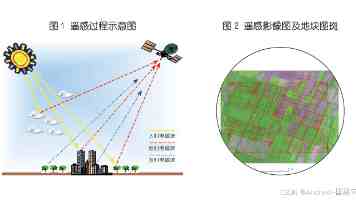 蜜桃3D里番资源分布与安全获取须知