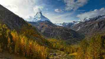 与消费新需求双向奔赴（民生一线·身边的增收故事）