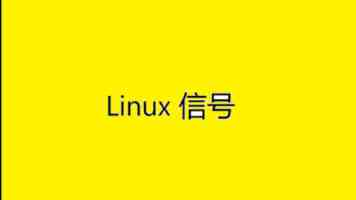 擅自打开飞机应急舱门，要负什么责任？（新闻看法）