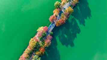AI 造富浪潮涌入私人飞机市场：Craft CEO 称新买家跳过入门机型，直接选择数千万美元大型喷气机