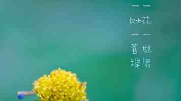 无人机“速成弹药”有哪些